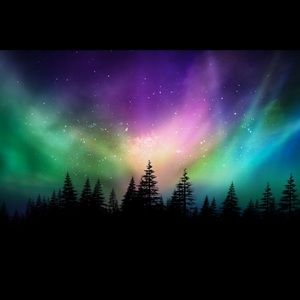 Meet your Posher, Austine